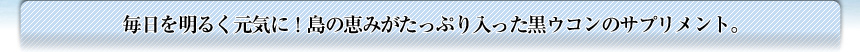 琉球黒ウコン